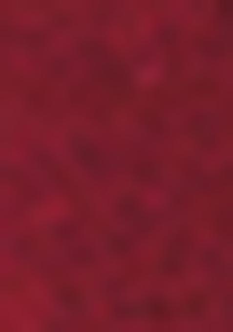 Maroon Zari Thread Embroidered Dola Silk Saree Set