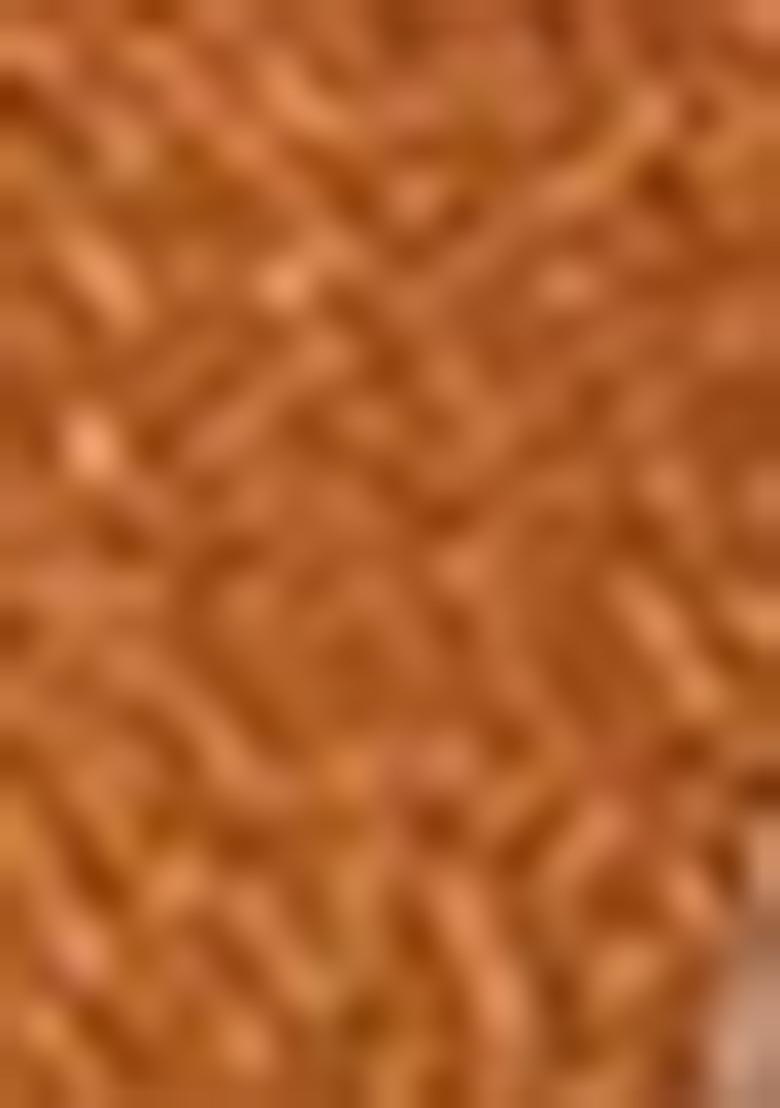 Orange Woven Khadi Organza Saree Set