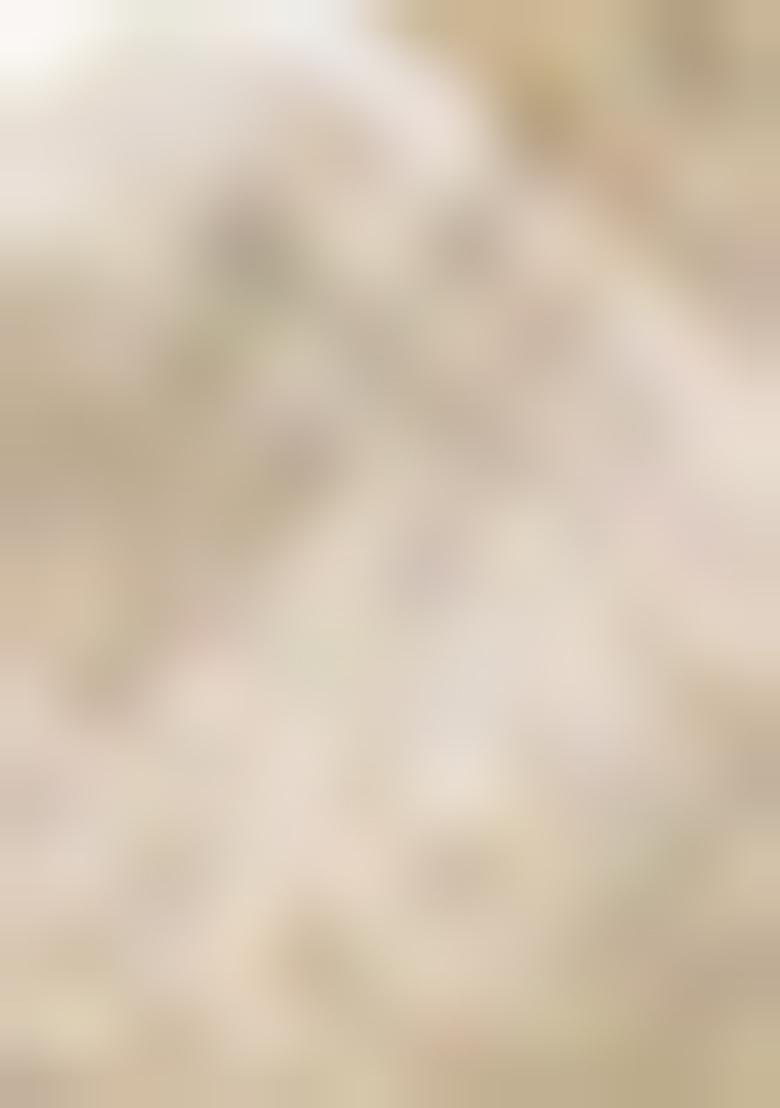 Mustard Kalamkari Print Tussar Silk Saree Set