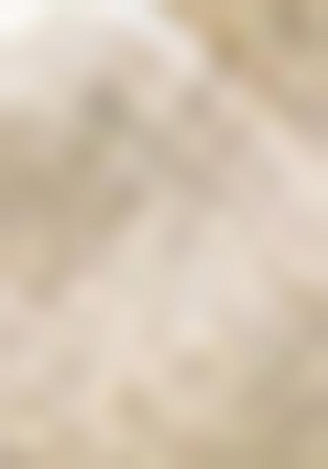 Mustard Kalamkari Print Tussar Silk Saree Set