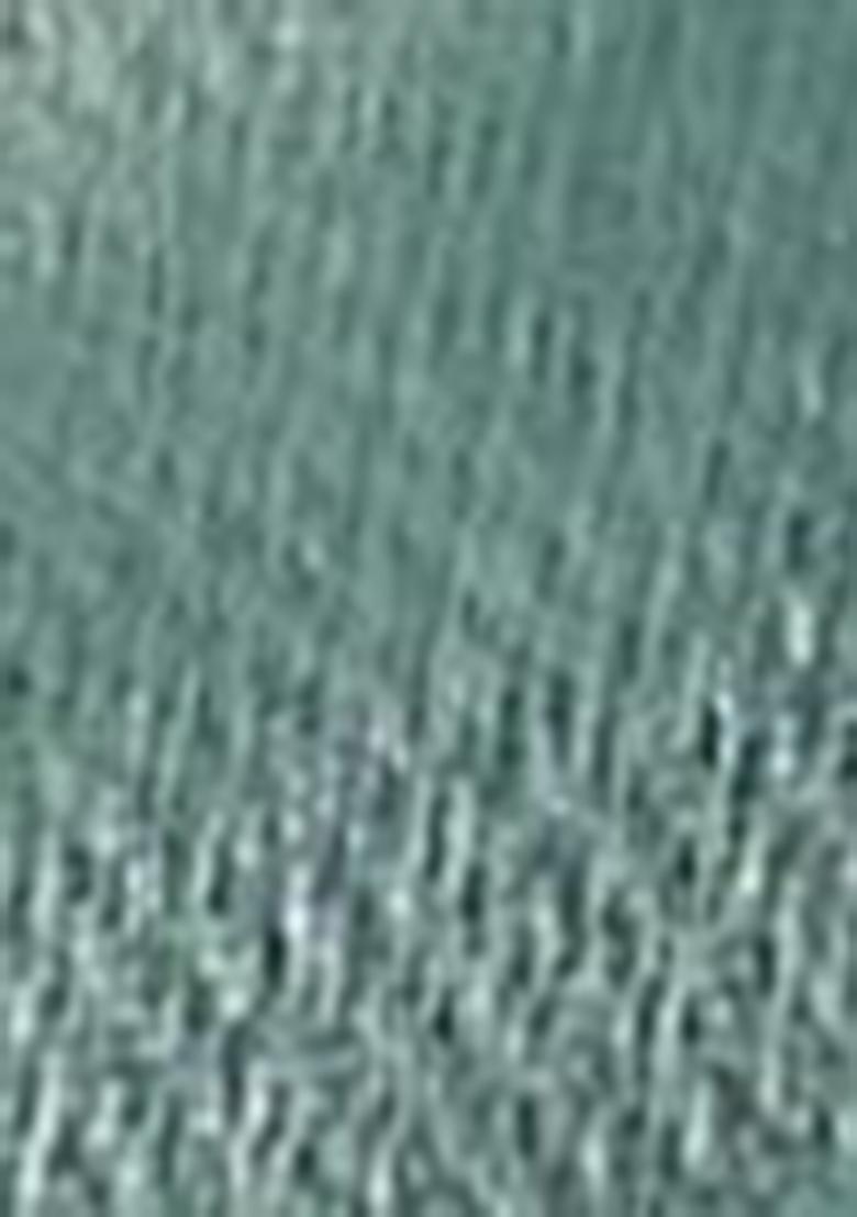 Grey Sequin Thread Embroidered Tissue Net Saree Set