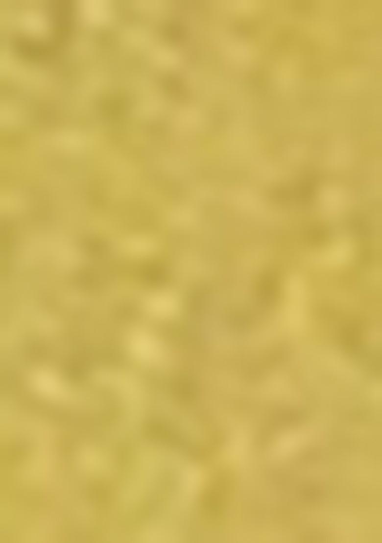 Yellow Kalamkari Print Silk Saree Set