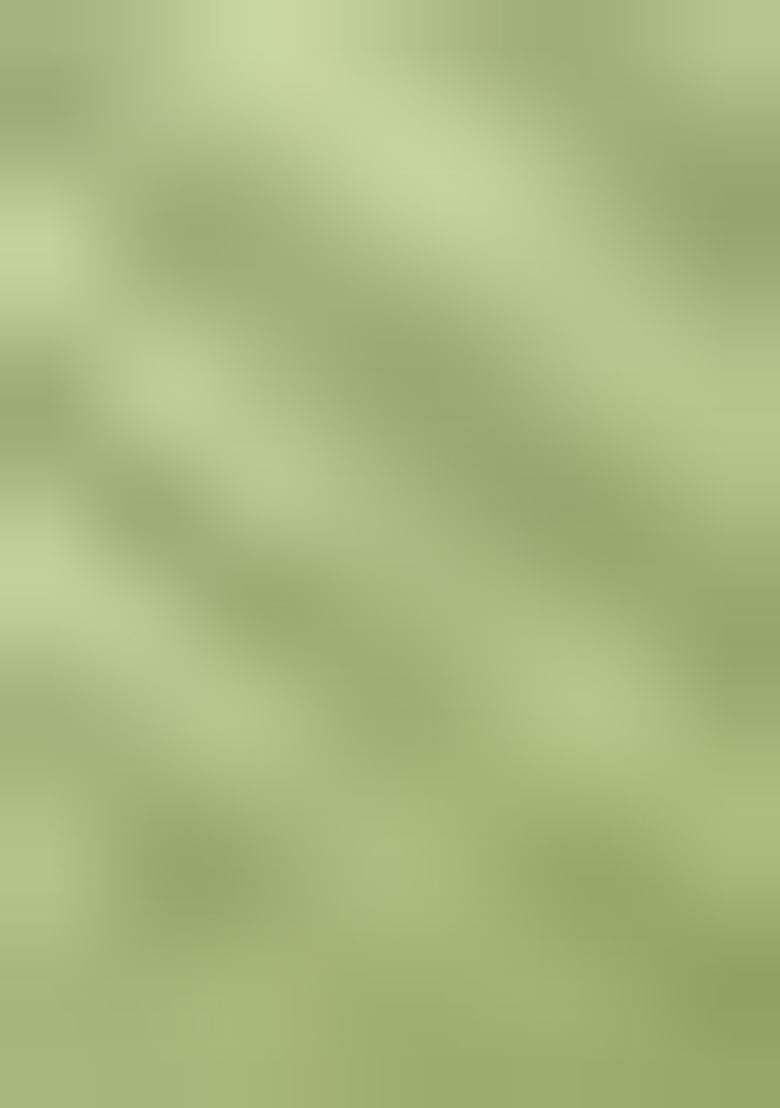 Pista Green Solid Silk Saree Set