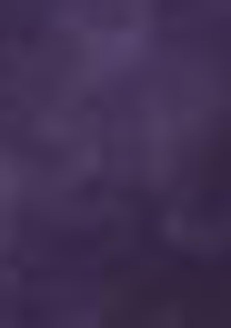 Purple Solid Tussar Silk Saree Set