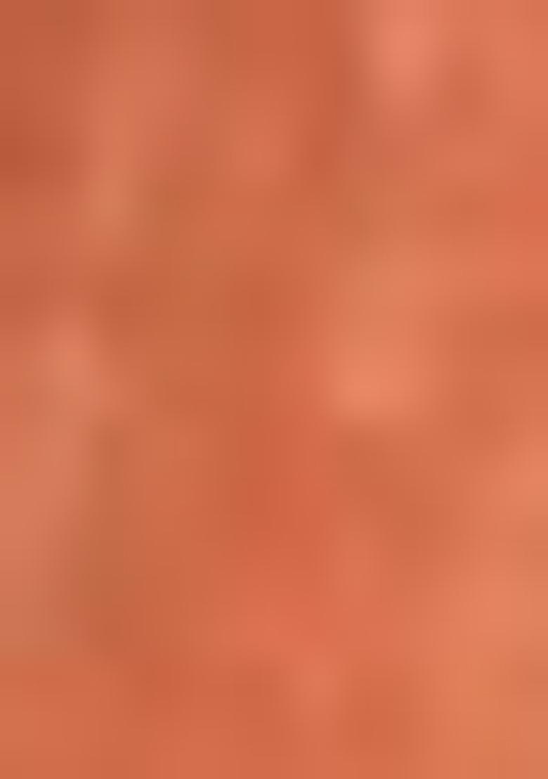 Orange Solid Tussar Silk Saree Set