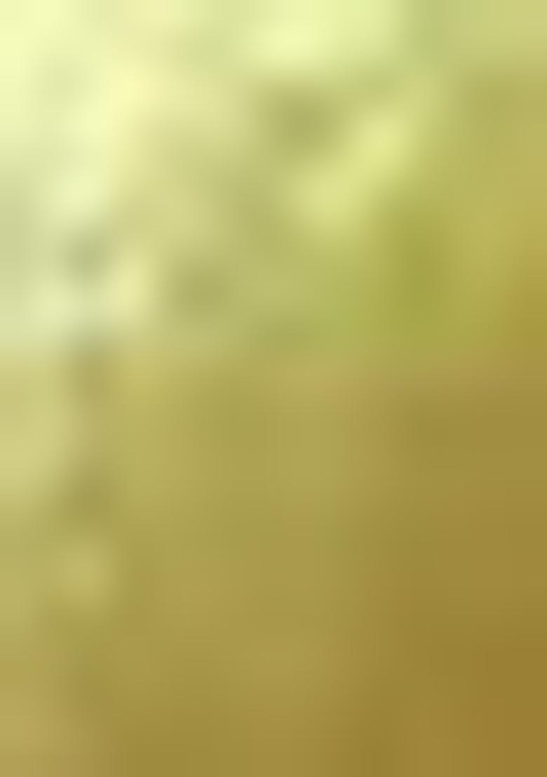 Yellow Solid Tussar Silk Saree Set