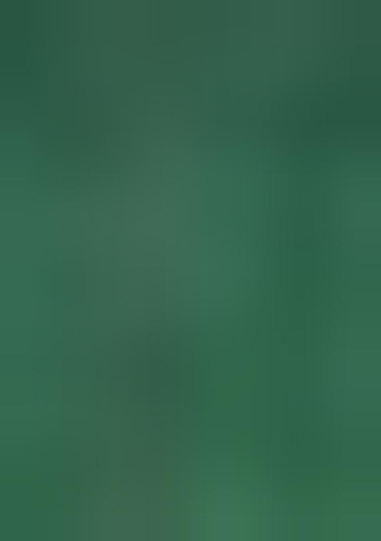 Light Green Zari Work Silk Saree Set