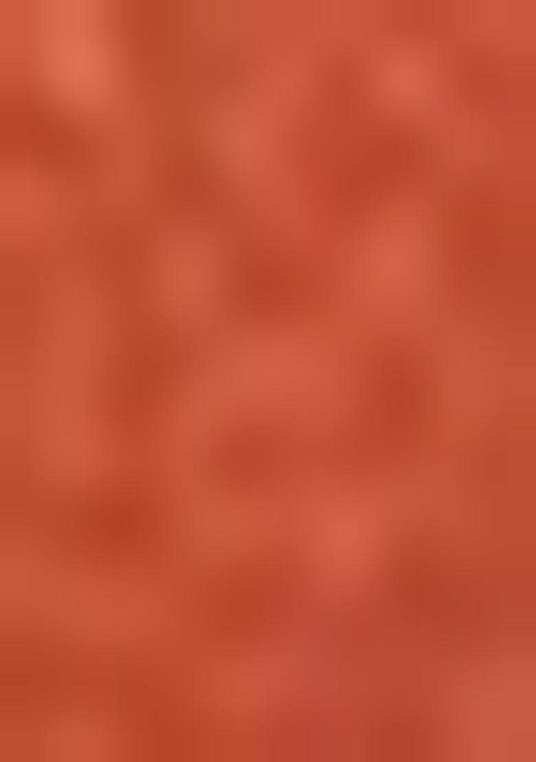 Orange Meenakari Work Silk Saree Set