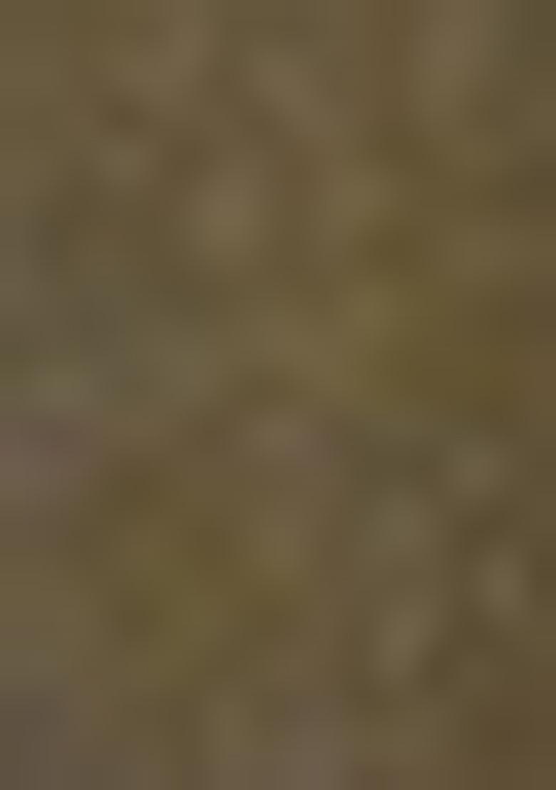 Green Meenakari Work Silk Saree Set