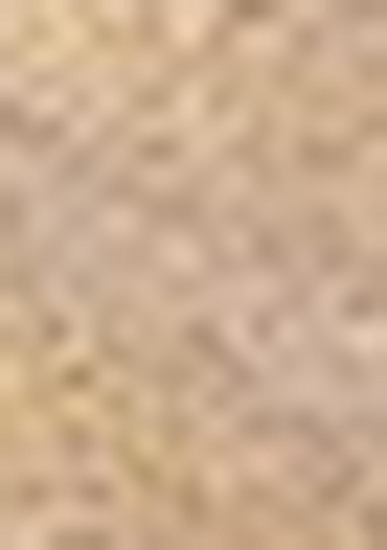 Light Blue Zari Work Silk Saree Set