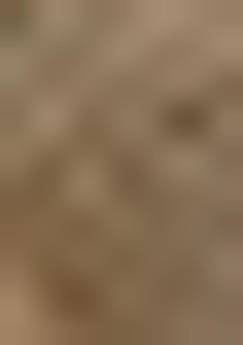 Mehendi Printed Silk Saree Set