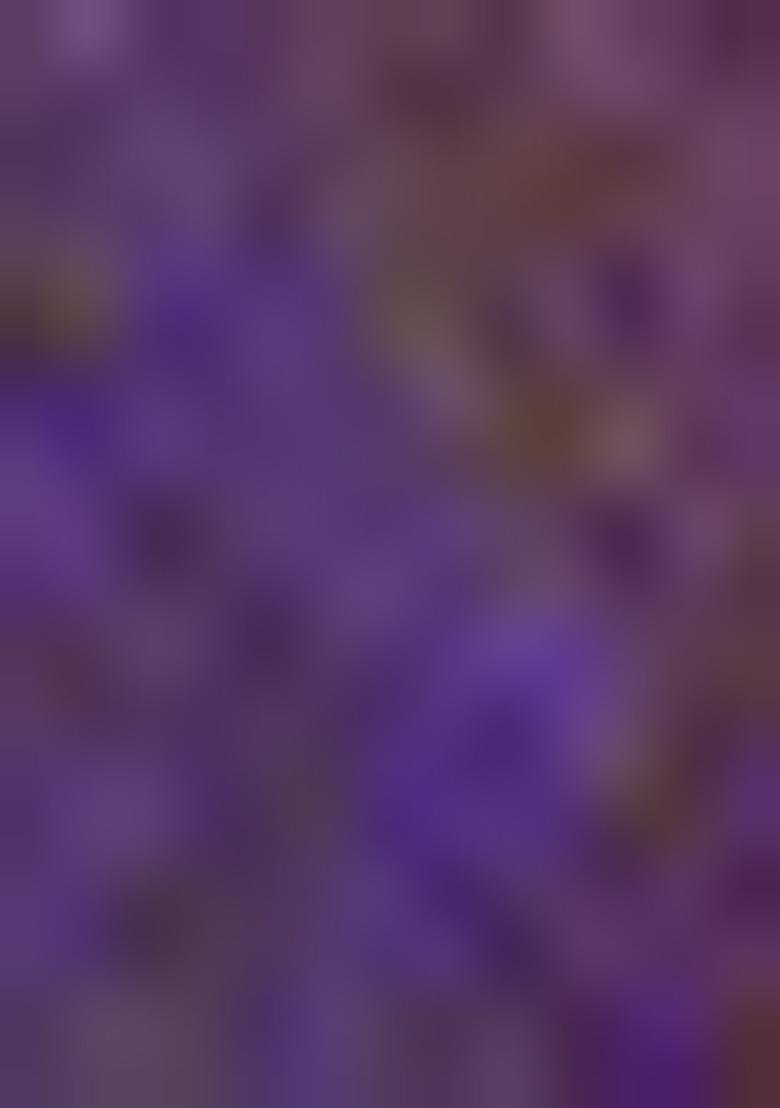 Lavender Printed Silk Saree Set