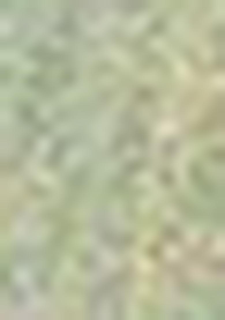 Blue Printed Silk Saree Set