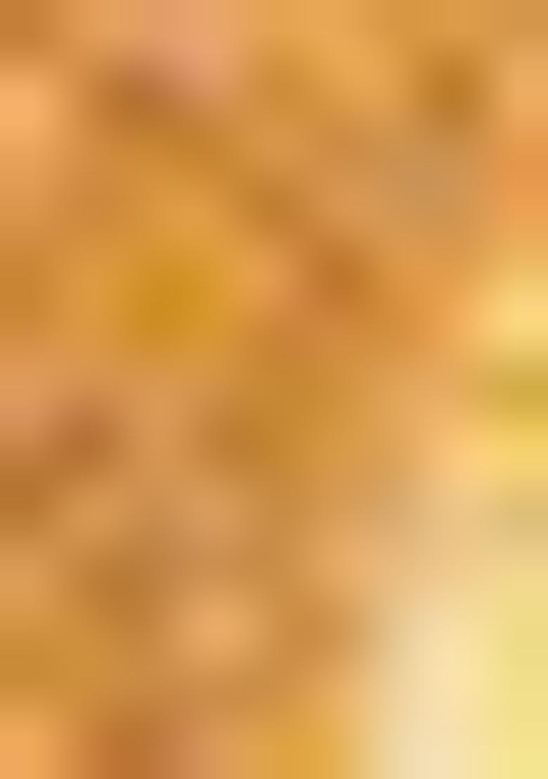 Yellow Zari Work Silk Saree Set