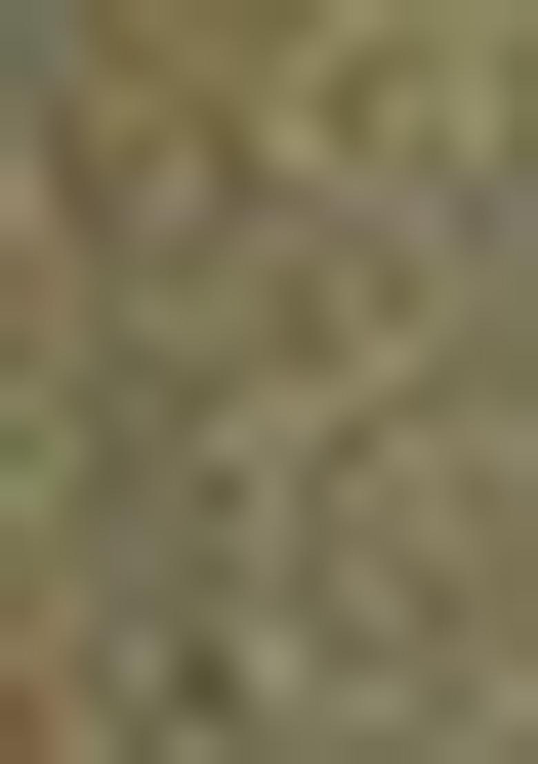 Sea Green Zari Work Silk Saree Set