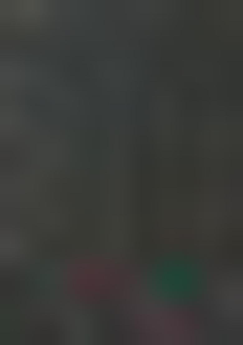 Mehendi Zari Work Silk Saree Set