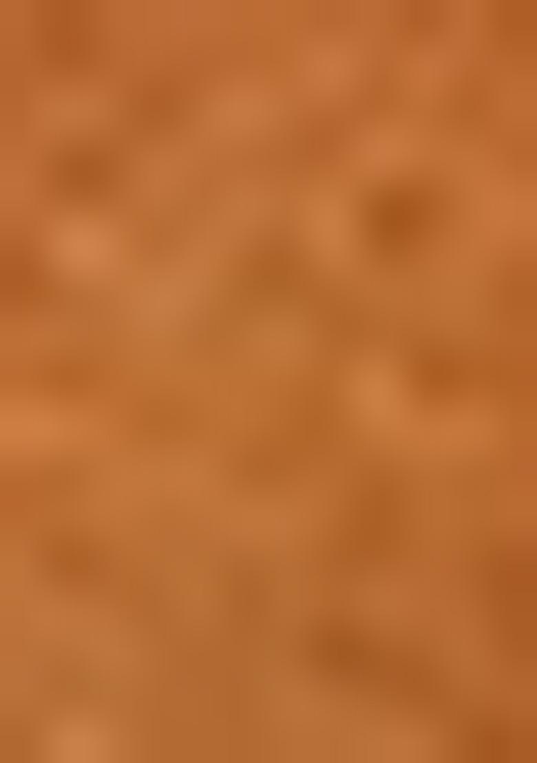 Dark Yellow Zari Work Silk Saree Set