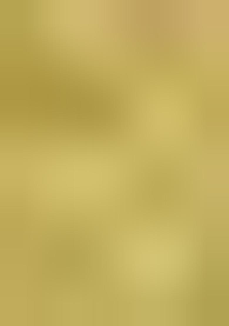 Green Zari Work Silk Saree Set