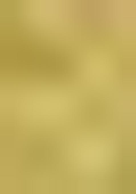 Green Zari Work Silk Saree Set