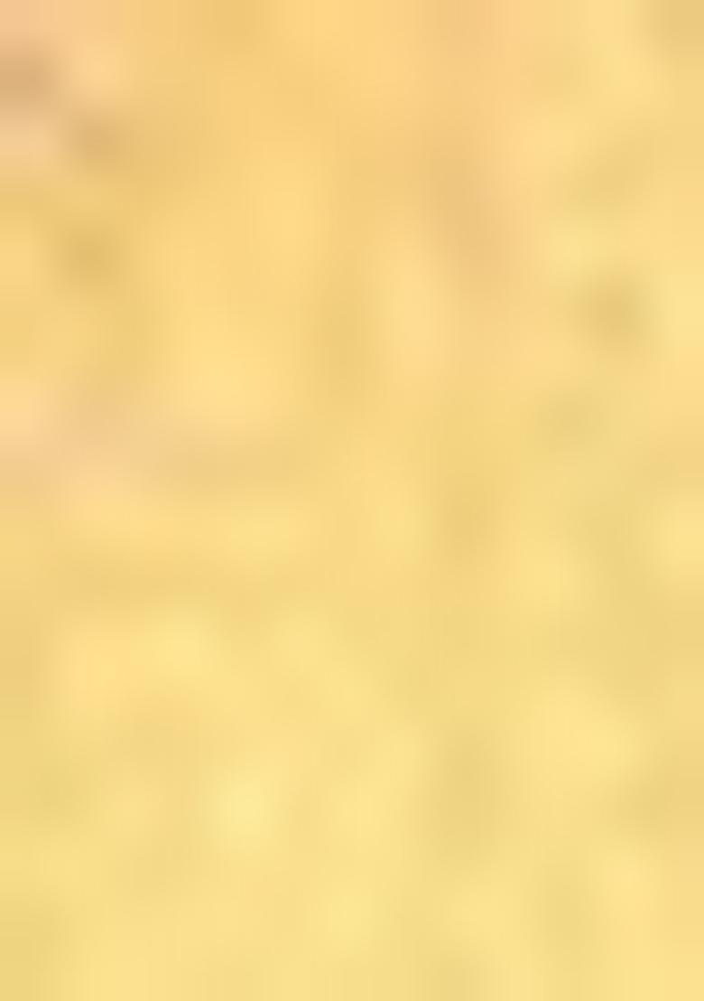 Golden Zari Work Silk Saree Set