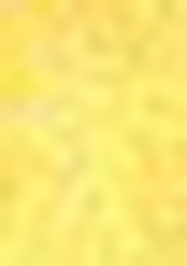 Yellow Zari Work Silk Saree Set