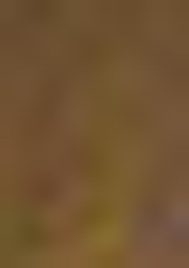 Light Green Zari Work Silk Saree Set