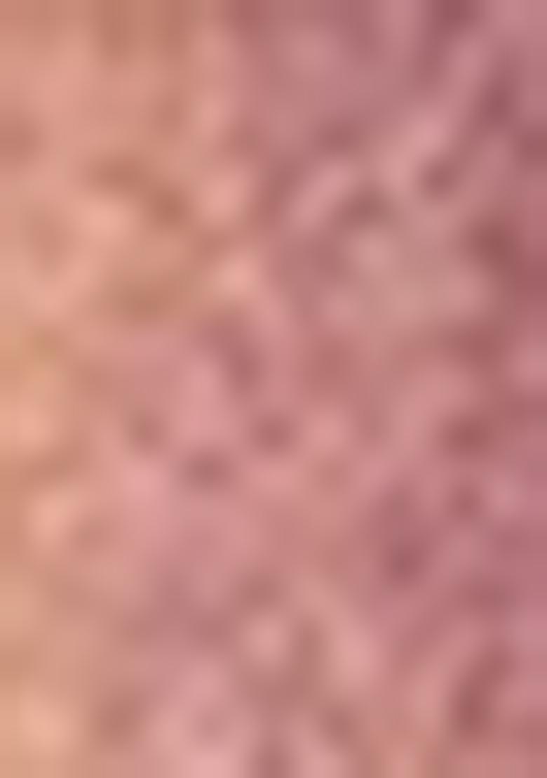 Golden Zari Work Silk Saree Set