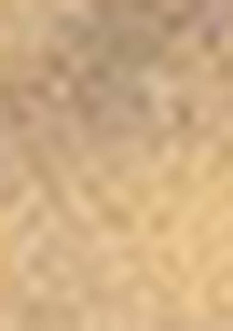 Mehendi Zari Work Silk Saree Set