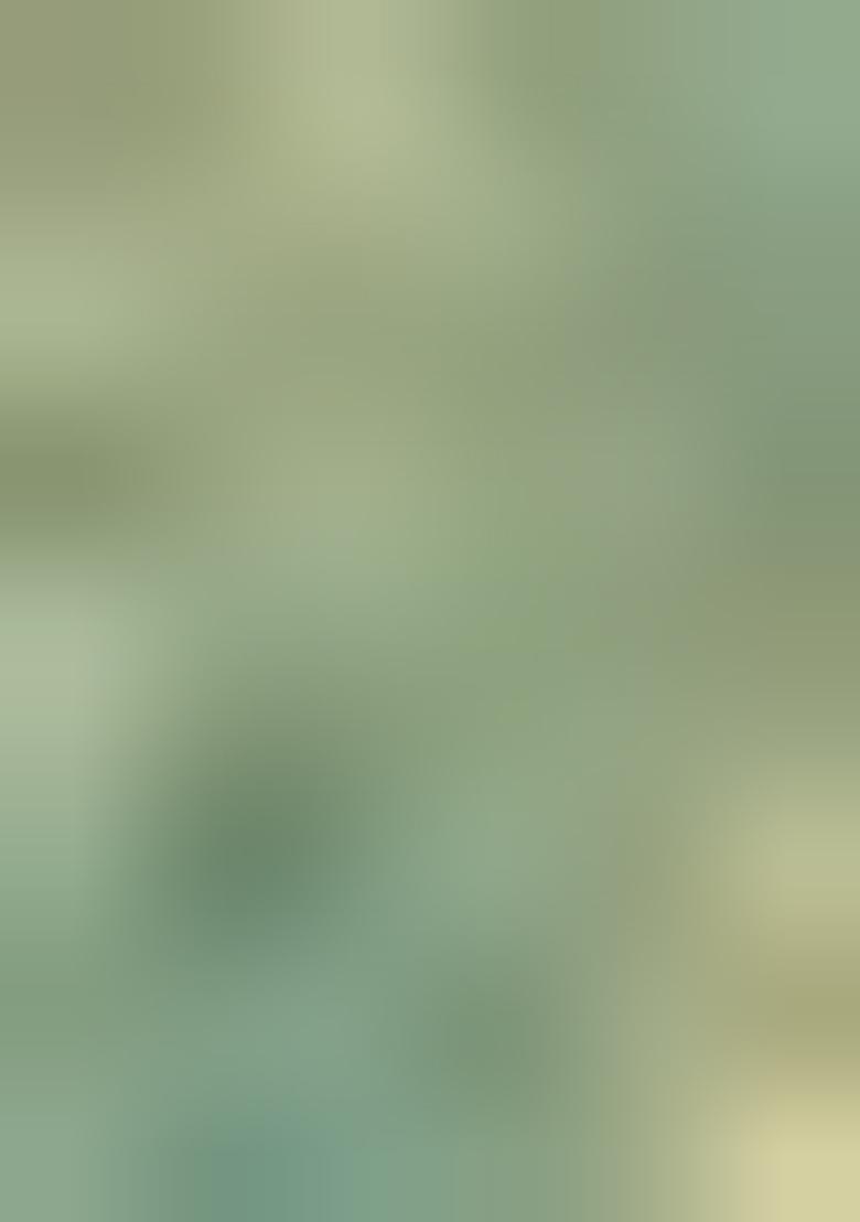 Sea Green Zari Work Silk Saree Set