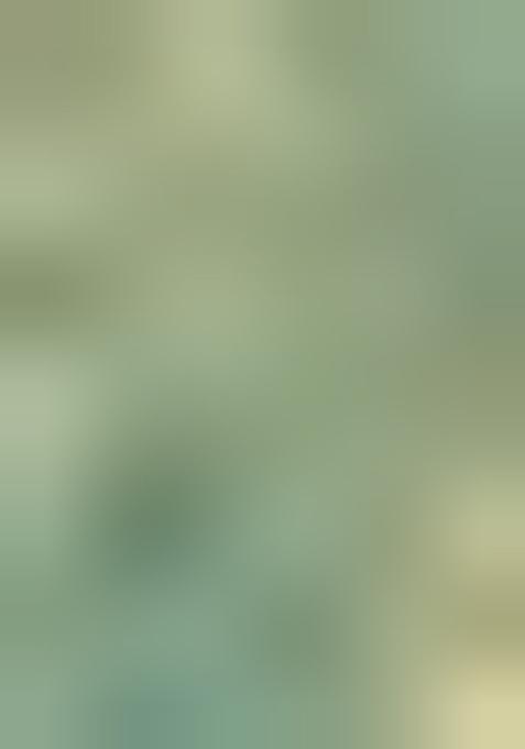 Sea Green Zari Work Silk Saree Set