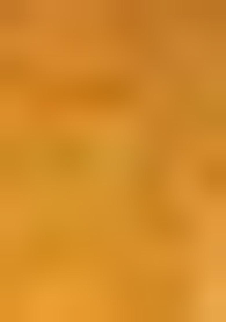 Dark Golden Zari Work Silk Saree Set