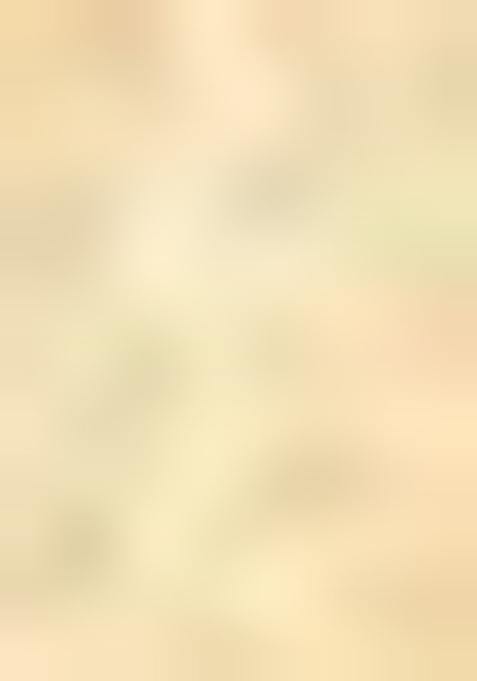 Light Golden Zari Work Silk Saree Set