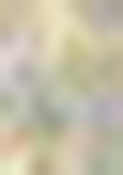 Green Zari Work Silk Saree Set