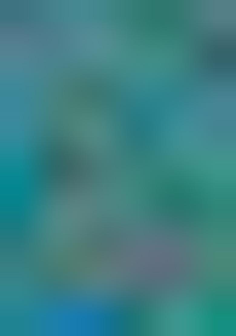 Blue Zari Work Silk Saree Set