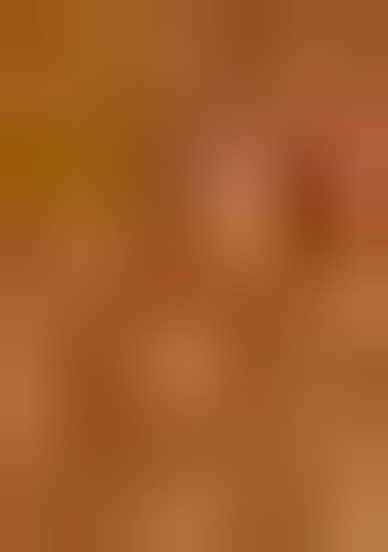 Golden Zari Work Silk Saree Set