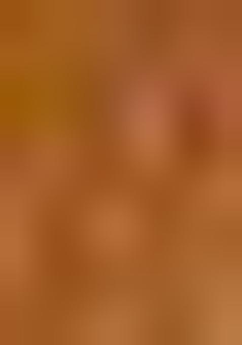 Golden Zari Work Silk Saree Set