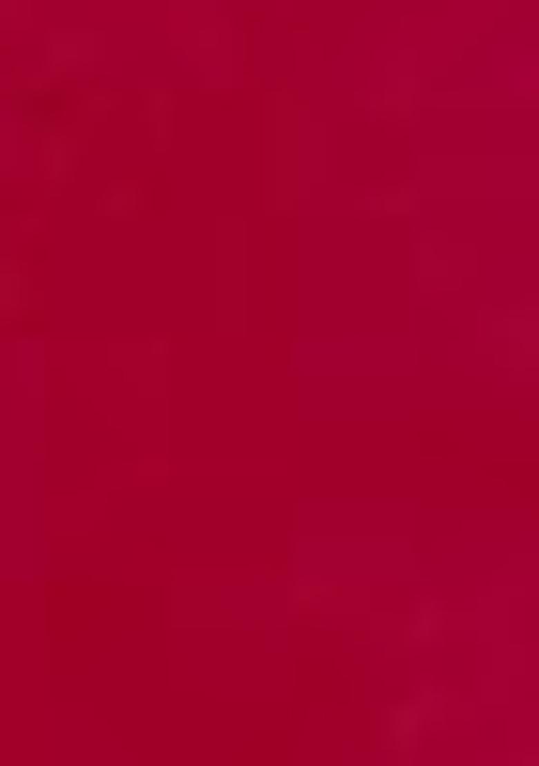 Red Embroidered Georgette Saree Set