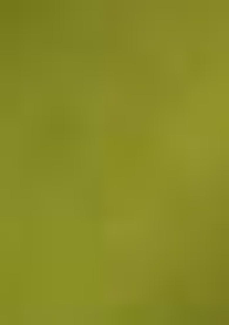 Olive Green Embroidered Linen Saree Set