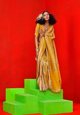 Mustard Zari Embroidered Tissue Saree