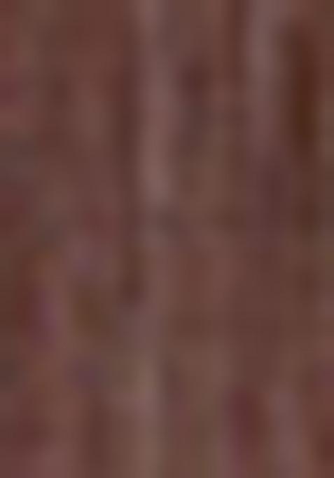 Brown Floral Printed Cotton Saree