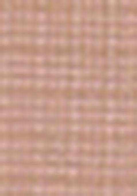 Peach Printed Tissue Silk Saree