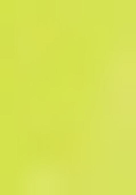 Lemon Yellow Digital Print Georgette Saree Set