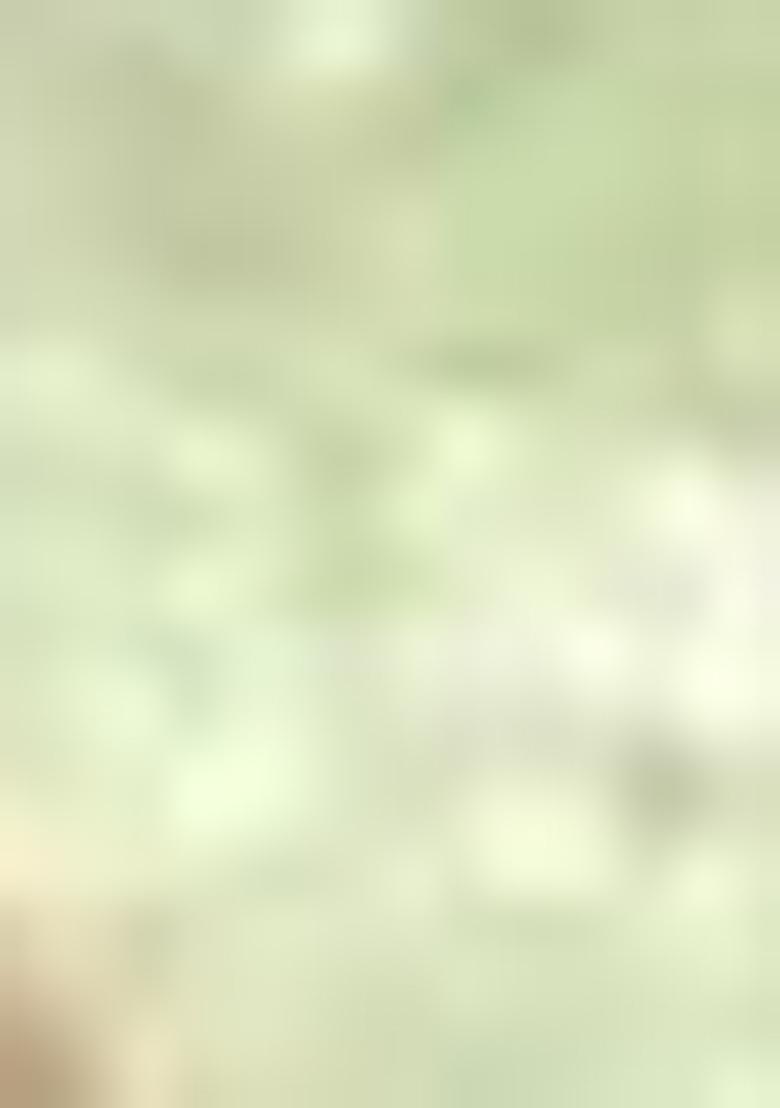 Multicolor Sequin Embroidered Vichitra Saree Set