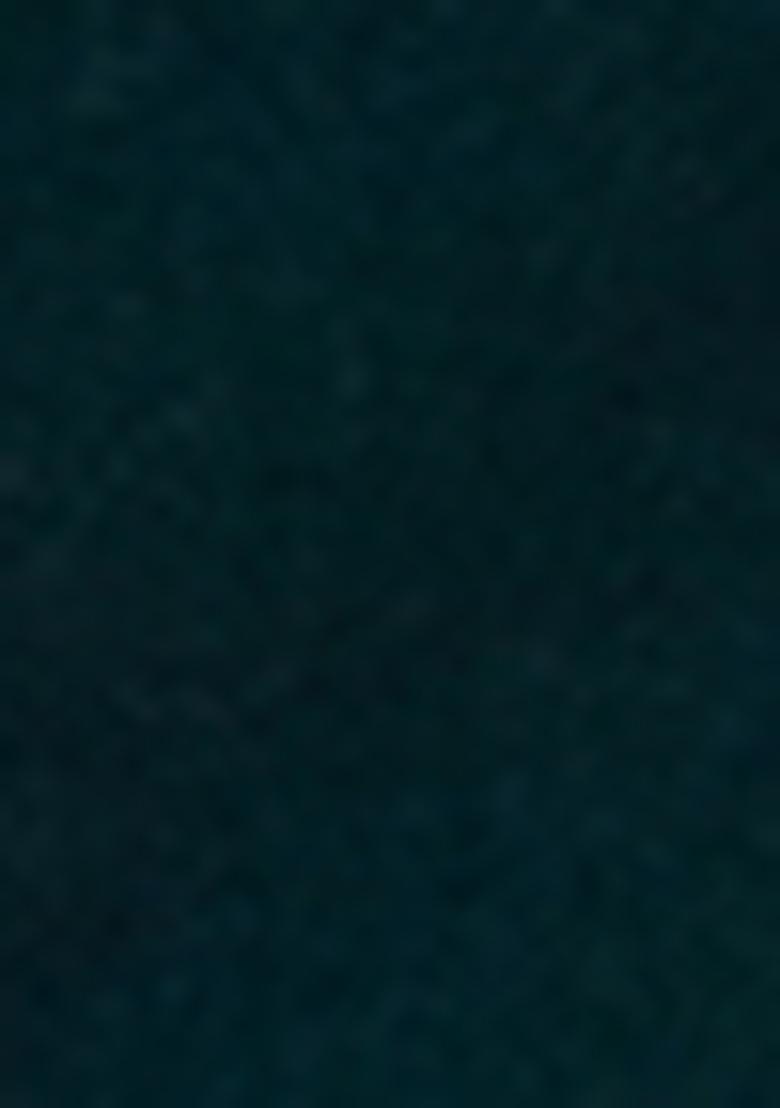 Green Sequin Embroidered Georgette Saree Set