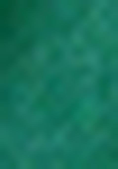 Multicolor Digital Print Pashmina Saree Set