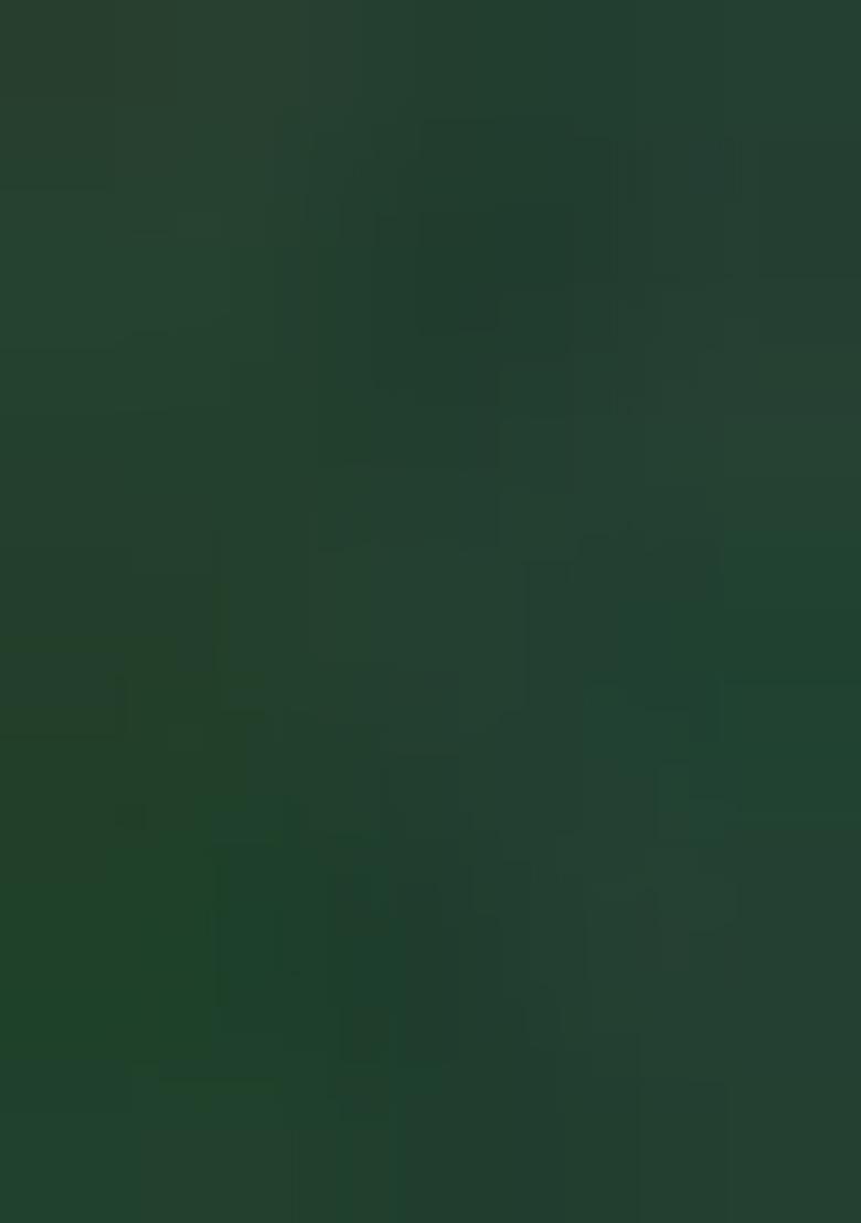 Green Weaving Silk Saree Set