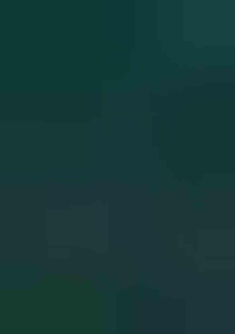 Green Woven Banarasi Silk Saree Set