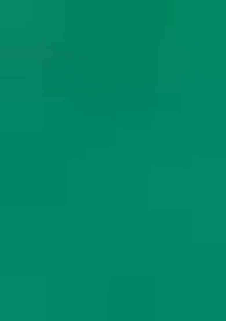 Sea Green Woven Cotton Saree Set