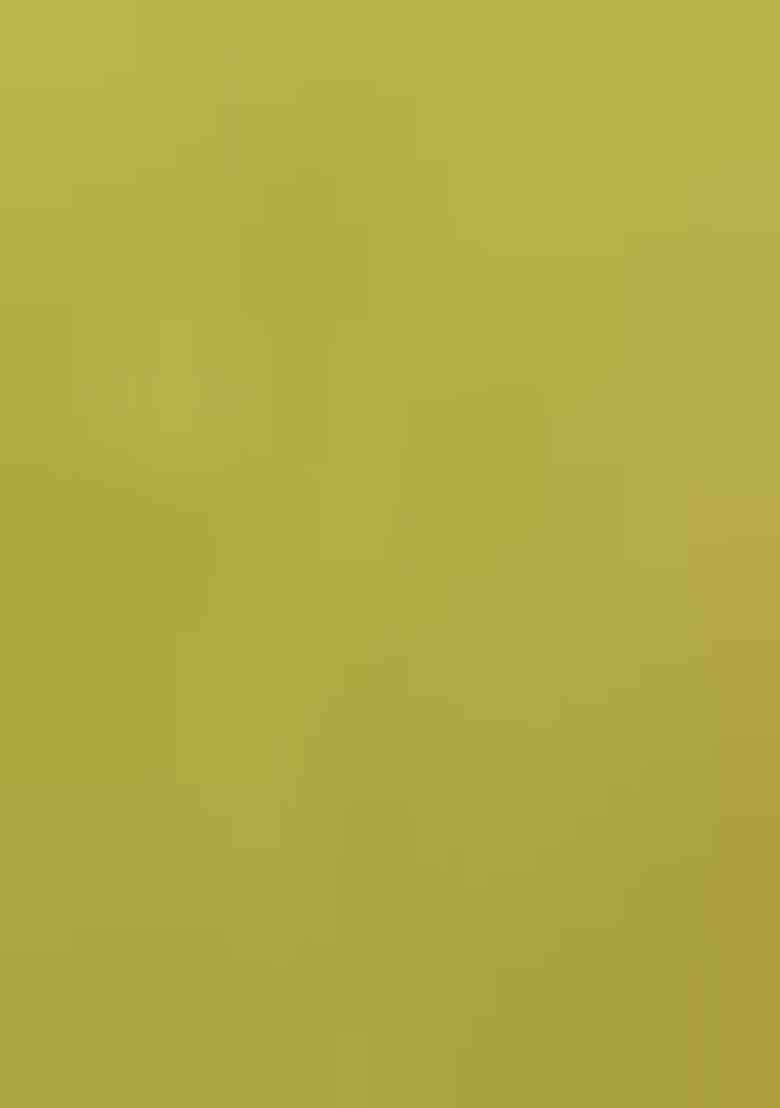 Olive Woven Cotton Saree Set for Diwali and Festive Wear - Indya