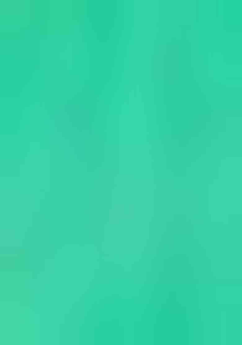 Sea Green Woven Cotton Saree Set